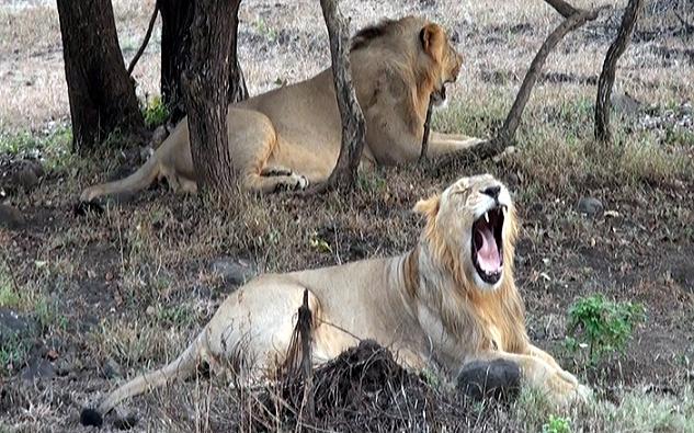 1467782636_0sas 1.jpg